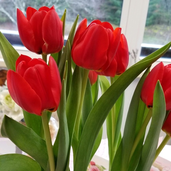 Meet your Posher, Gloria - Picture 1 of 1